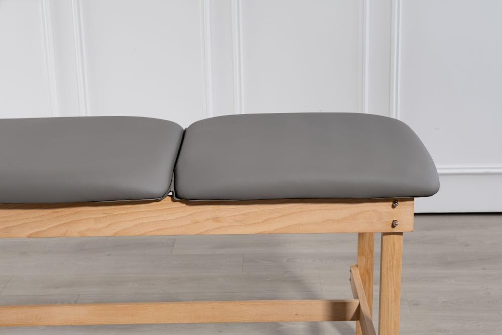 Carenovo 27.5" Adjustable backrest Medical Treatment exam Table for Spa Clinic Hospital (Gray)