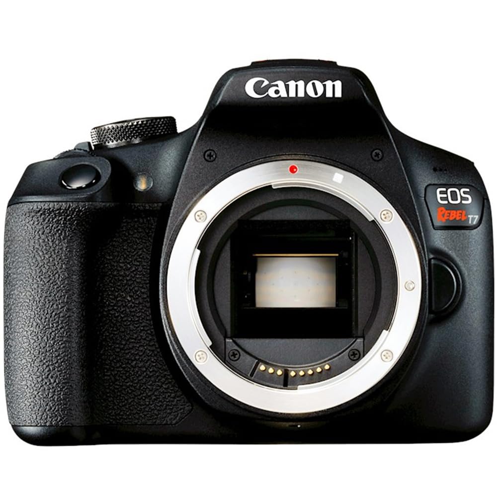 Canon EOS Rebel T7 DSLR Camera with EF18-55mm + EF 75-300mm Double Zoom Kit 2727C021 Bundle with Lexar Premium 64GB SDXC Memory Card, Deco Essentials Camera Bag and Corel Photo Video Suite