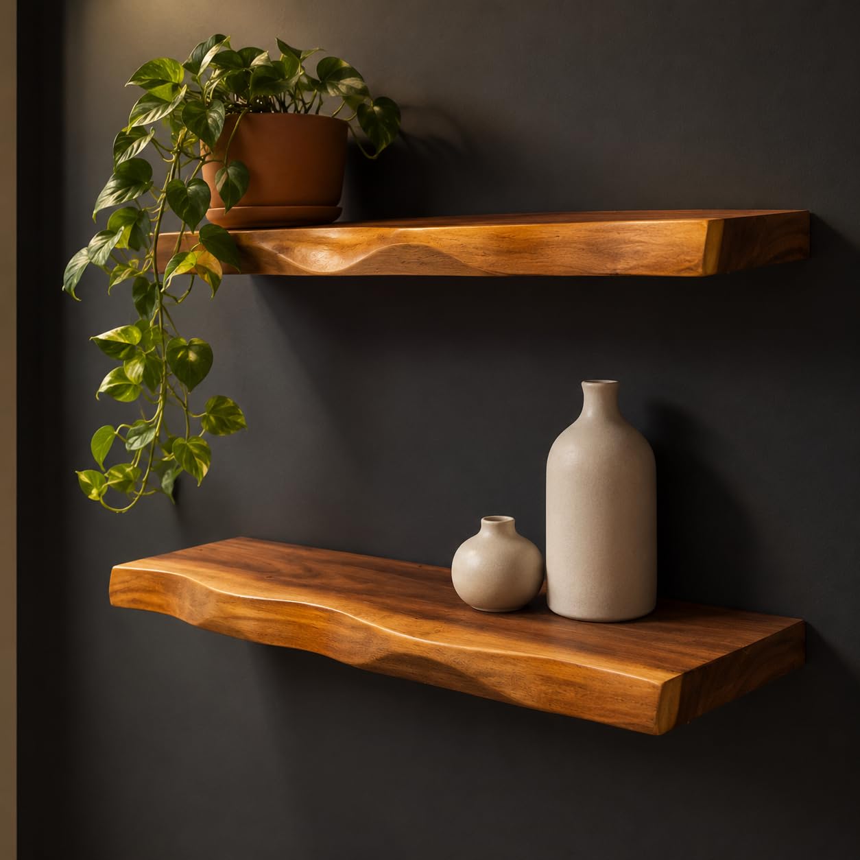 Gamoora Live Edge Floating Shelves 23.6", Set of 2
