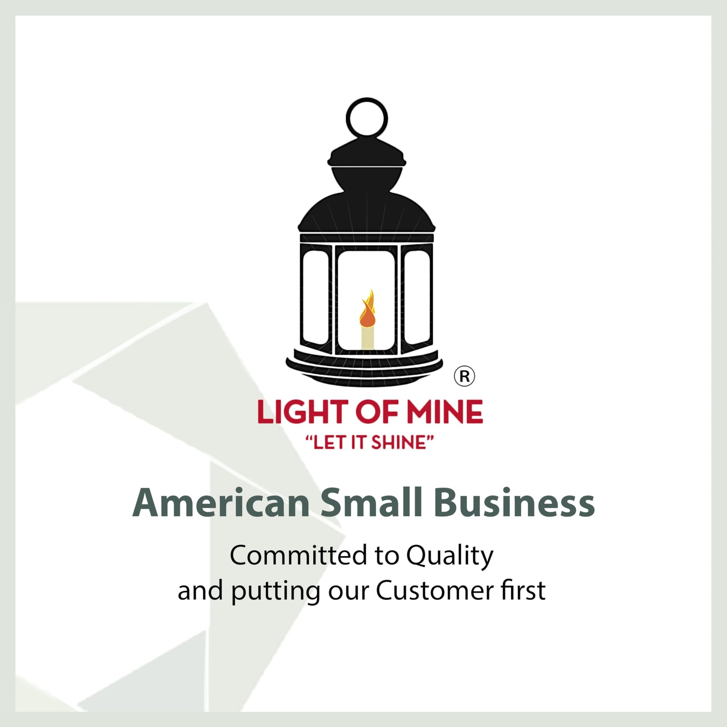 LIGHT OF MINE Oil Lantern - Dietz #20 Junior, Bronze, Borosilicate Glass, 100% Cotton Replacement Wick Strips