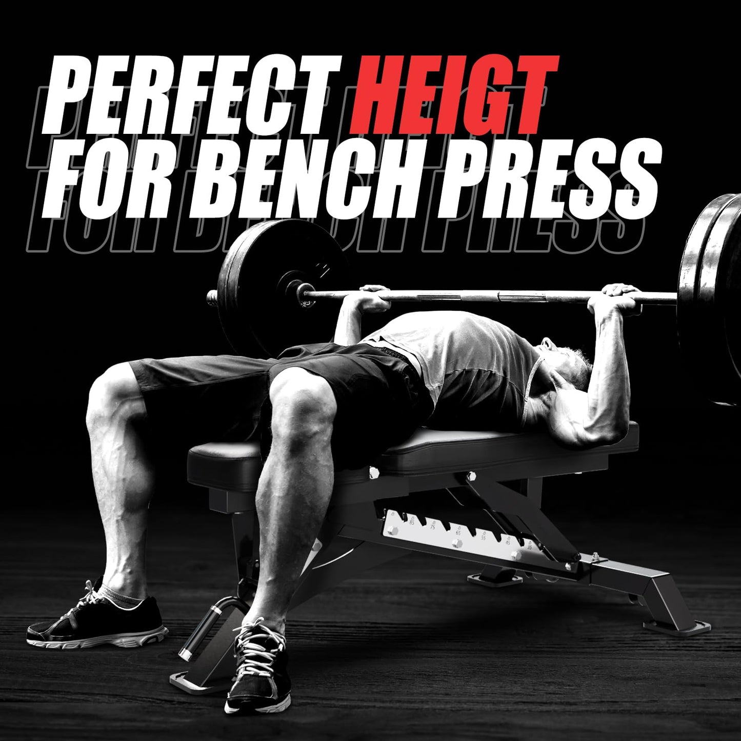 RITFIT Adjustable Weight Bench with Multiple Back Positions for Full Body Workouts, Incline, Decline, and Flat Settings for Home Gym Strength Training, 1300LB Capacity