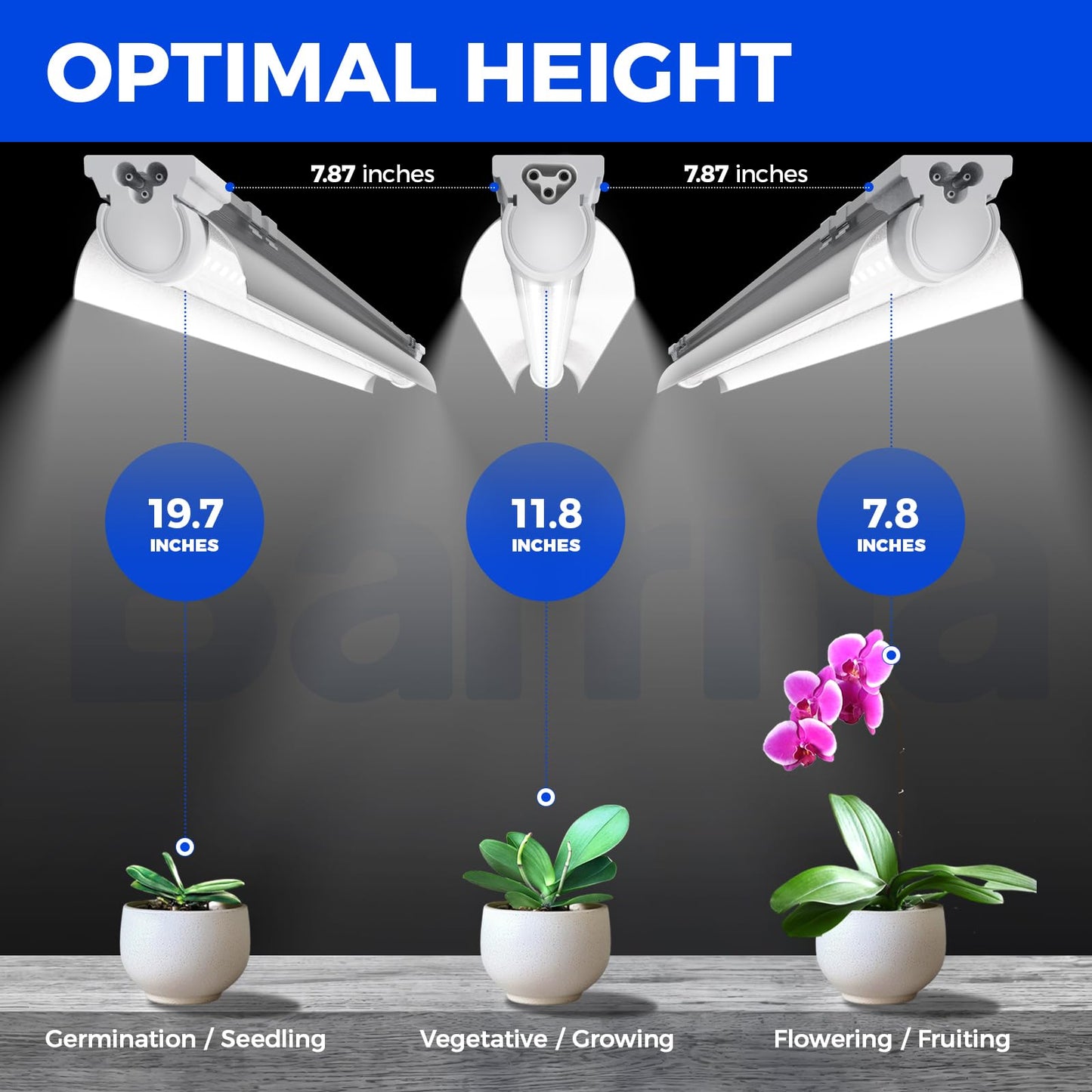 Barrina T8 Grow Light Strip, 5000K Full Spectrum, V-Shape with Reflector, 1FT, 60W, Linkable, White, Model QC12, 4