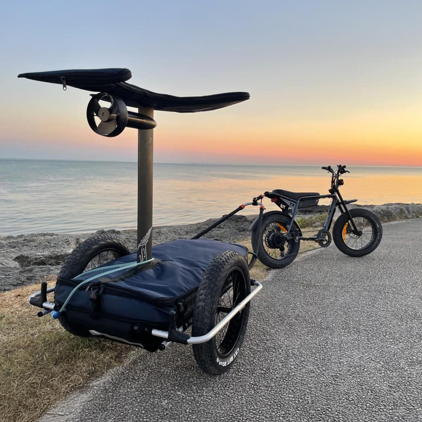 Thule Reacha Sport Beach Bike Trailer - Bike Cargo Trailer - Modular Design for Daily and Recreation use - Lightweight Aluminum Frame - 77lb Capacity - Adjustable towbar to Pull Gear up to 15ft Long