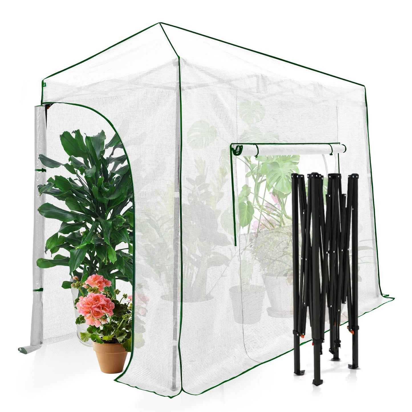 EAGLE PEAK 10x5 Portable Walk in Greenhouse, Pop Up Indoor Outdoor Greenhouse, Green House Kit with Zippered Roll-Up Doors and Windows, Lean-to Design, PE Cover, Clear/White