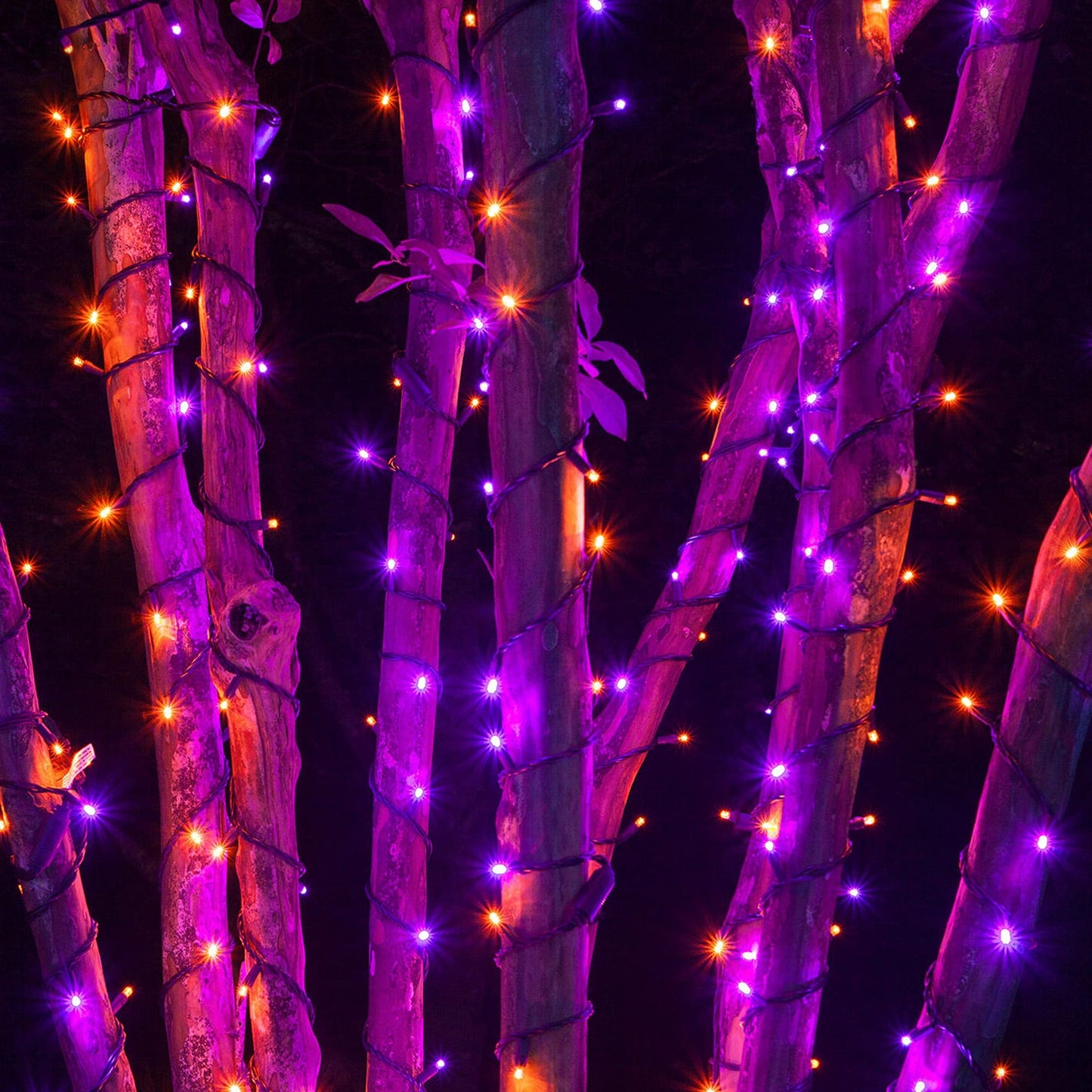 Dazzle Bright Halloween 300 LED String Lights, 100FT, 8 Lighting Modes, Orange, Model HB-300COI