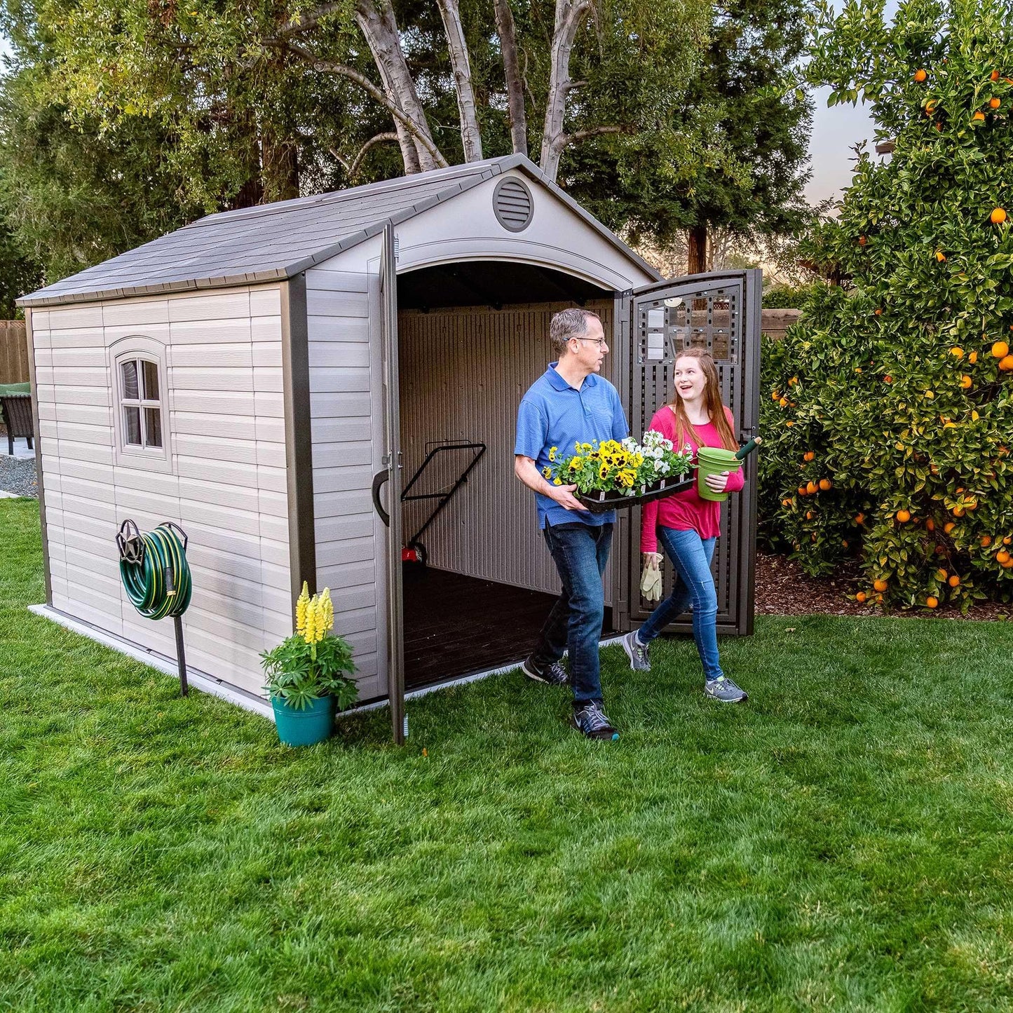 Lifetime 8 x 10 Ft Outdoor Storage Shed, Dual-Wall HDPE Construction, Steel-Reinforced, Skylight and Window, Lockable Doors, Vents, UV-Protected, Desert Sand