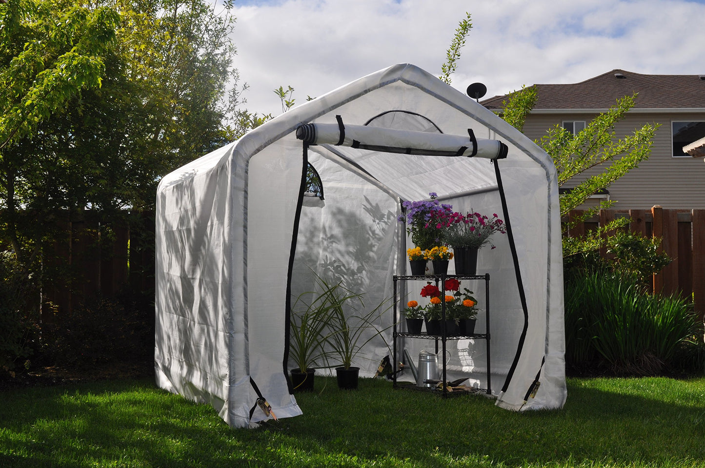 Dry Top 43006 Greenhouse Kit, 6'x6'x6' , White