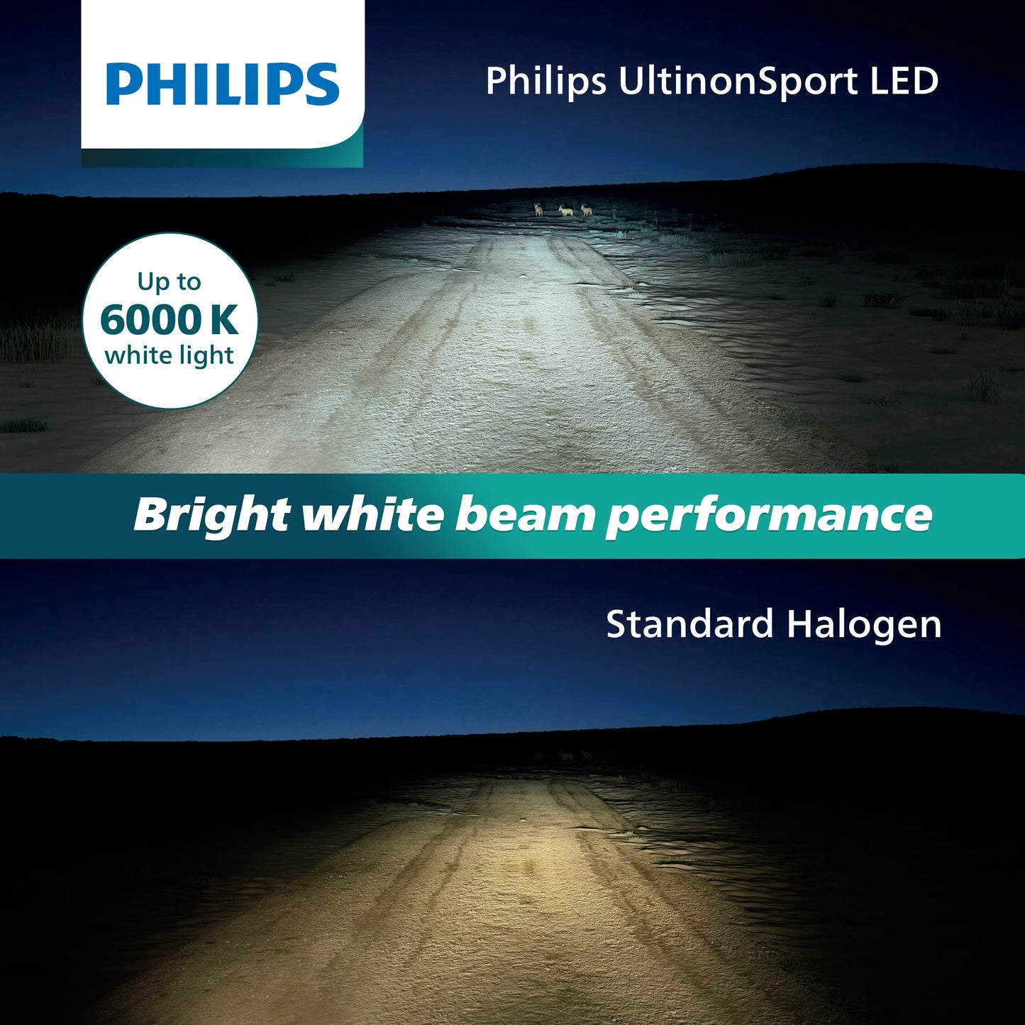 Philips UltinonSport PS24WFF LED Bulb, Fog Light & Powersports Headlights, 2 Pack, White