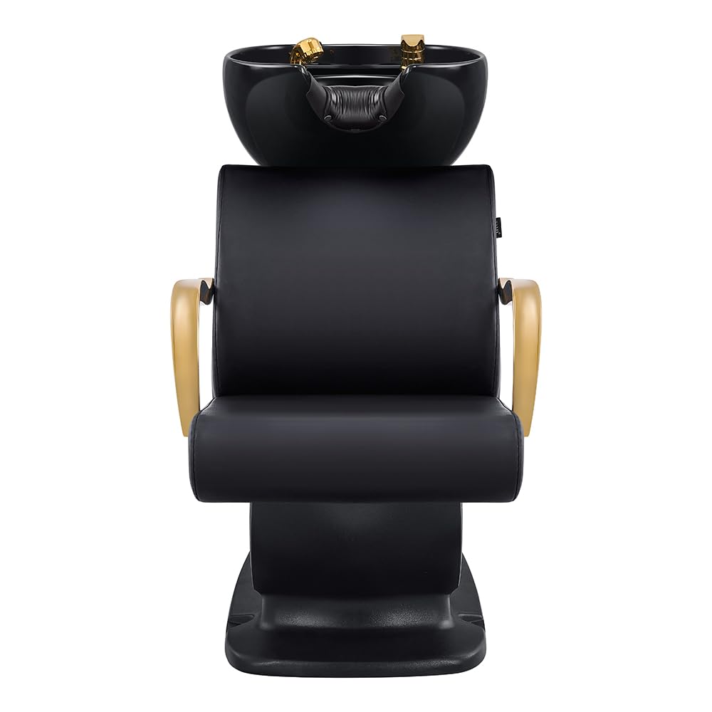 Dir Shampoo Backwash Unit Beauty Salon Shampoo Backwash Station w/Gold Accents Beckman