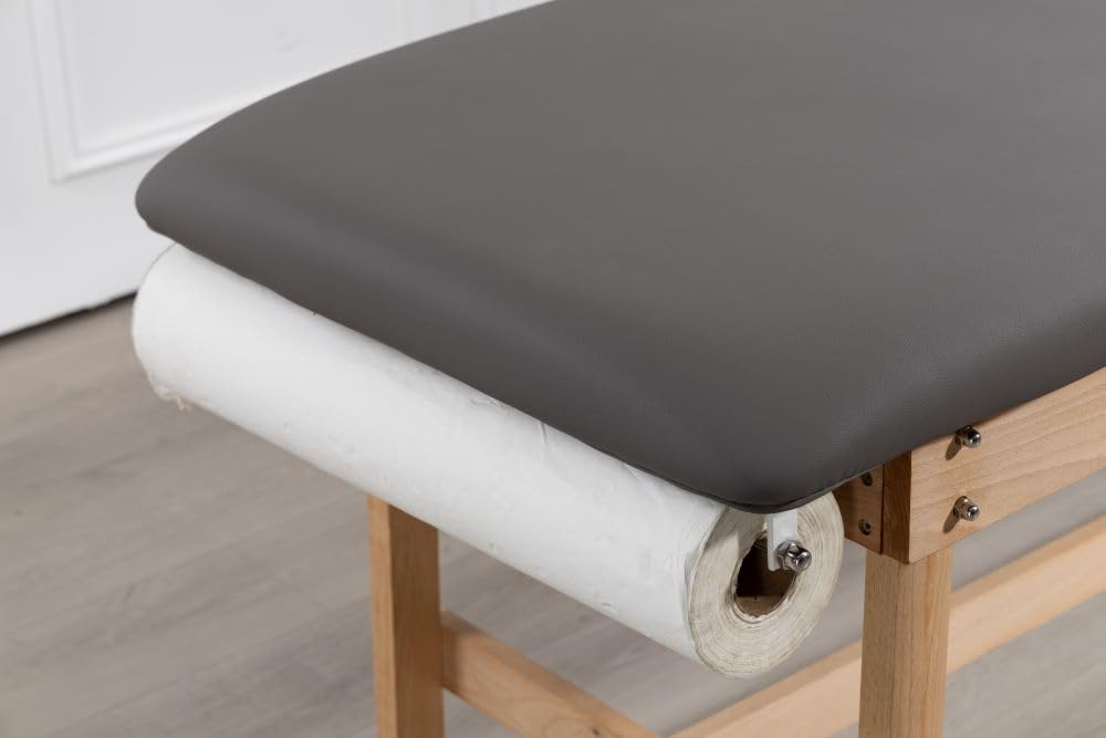 Carenovo 27.5" Adjustable backrest Medical Treatment exam Table for Spa Clinic Hospital (Gray)