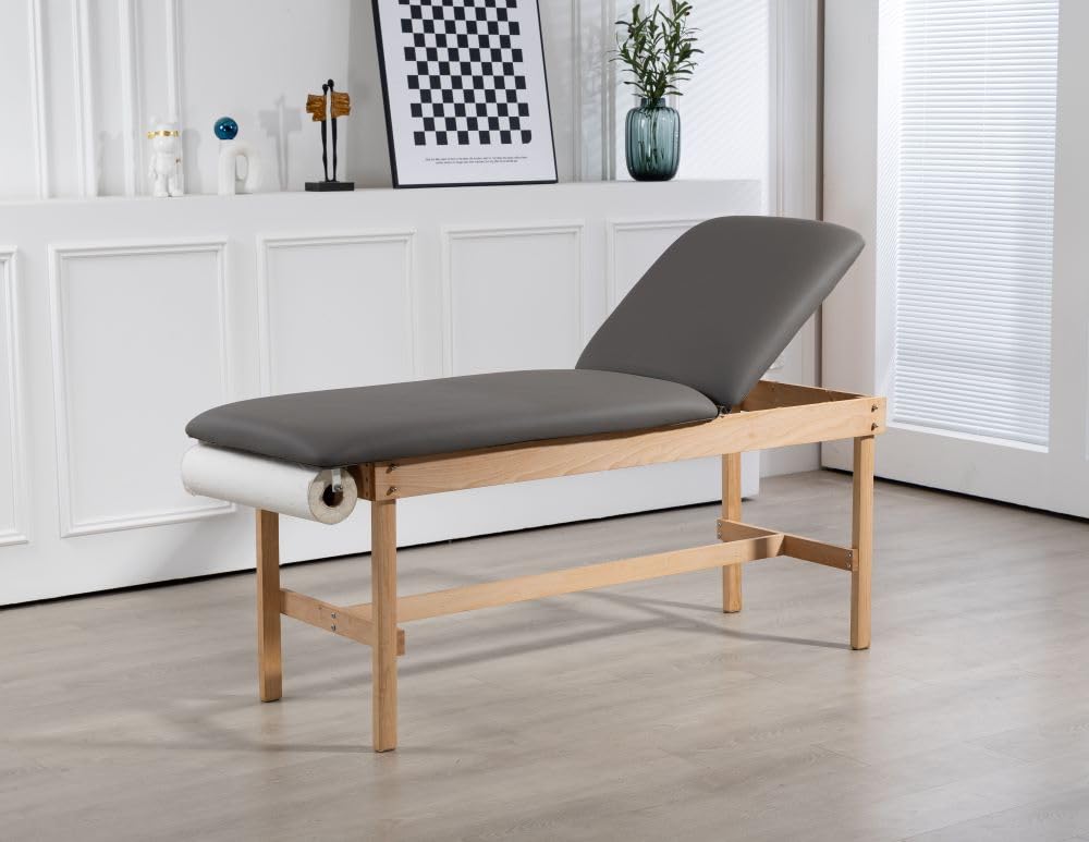 Carenovo 27.5" Adjustable backrest Medical Treatment exam Table for Spa Clinic Hospital (Gray)