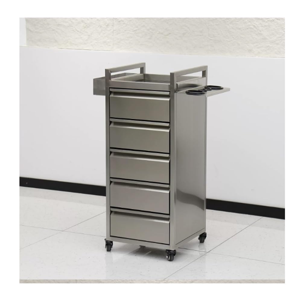 GRRICEPL Stainless Steel Barber Salon Stations, Rolling Salon Trolley Storage Cart, Makeup Storage Trolley Cabinet Organizer For Barber Beauty SPA(35 * 35 * 85cm)