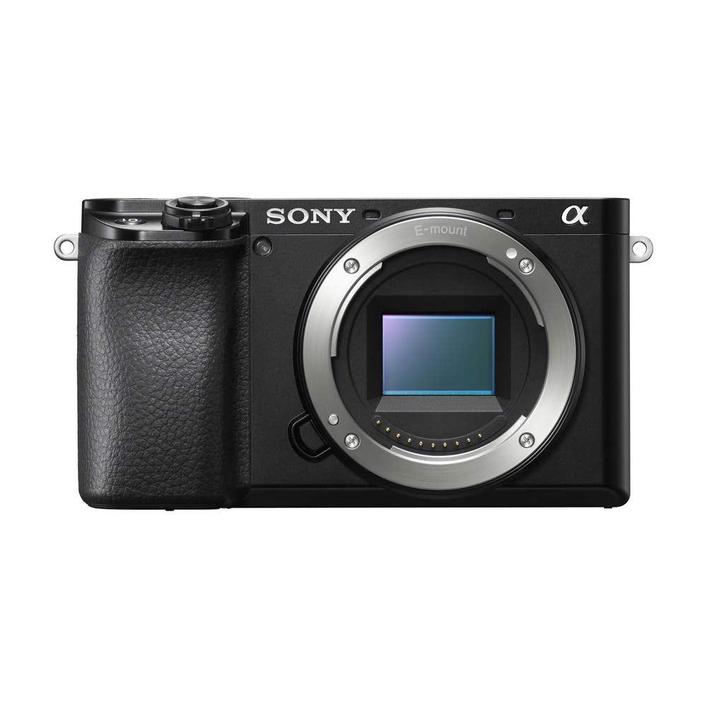 Sony a6100 Mirrorless Camera 4K APS-C ILCE-6100YB with 2 Lens Kit 16-50mm + 55-210mm | Official Sony USA Partner Model | Bundle with Deco Gear Photography Case + Flash & Accessories + Extra Battery