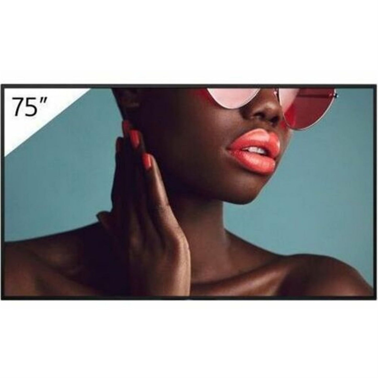 Sony FW75BZ40L 75 in. Bravia 4K HDR Professional Display Monitor Black