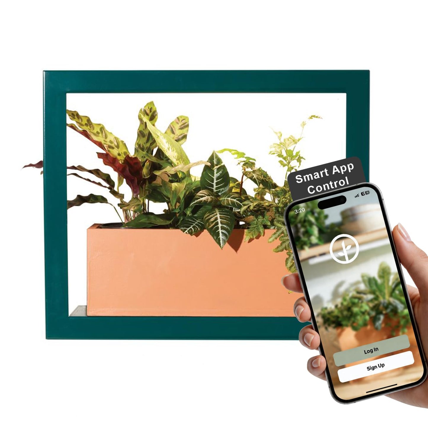 Modern Sprout Smart Growframe - Wall Mounted Plant Stand with LED Grow Light - Smart App Controlled - Powder-Coated Steel Frame for Indoor Plants - Perfect for Gifting, Home and Kitchen Decor -Emerald