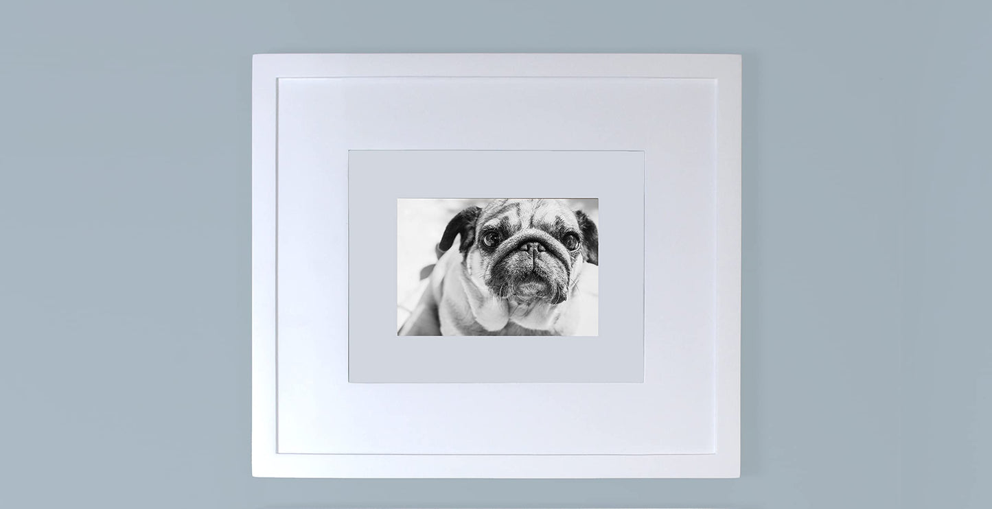 Fox Hollow Furnishings 14x11 Concealed Picture Frame Medicine Cabinet Without Mirror for Bathroom, Recessed in The Wall, Made in North America, Real Wood, NO MDF, Adjustable Shelves, Hidden, White