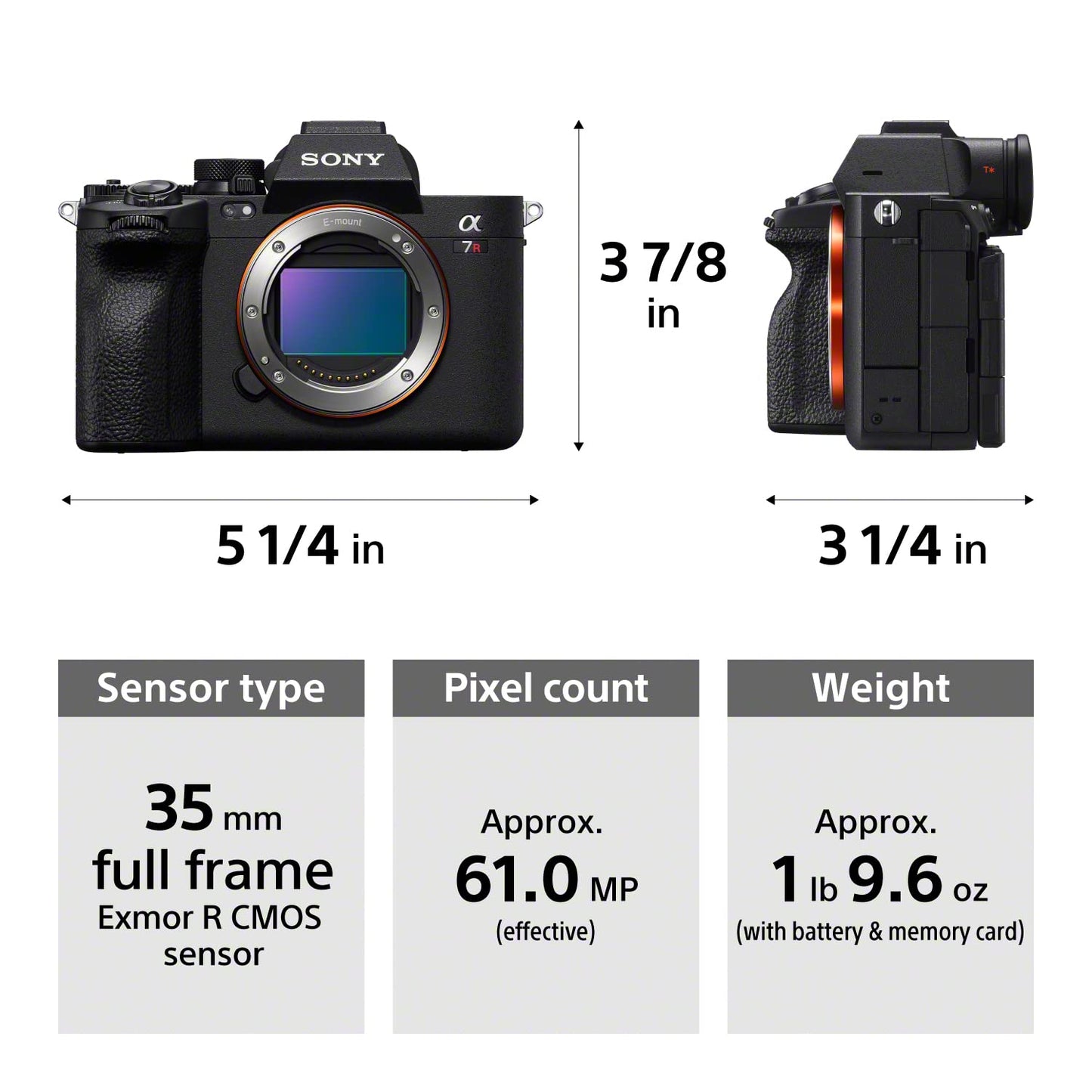 Sony Alpha 7R V Full-Frame Mirrorless Interchangeable Lens Camera Body