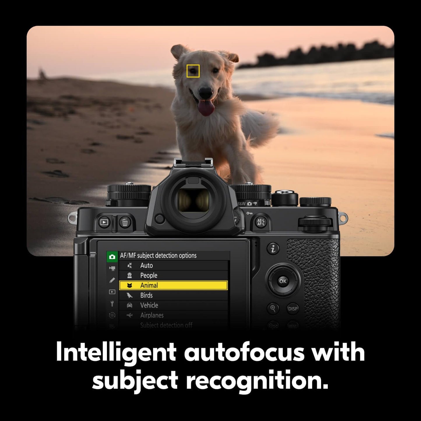 Nikon Z f | Full-Frame Mirrorless Stills/Video Camera with Iconic Styling | Nikon USA Model