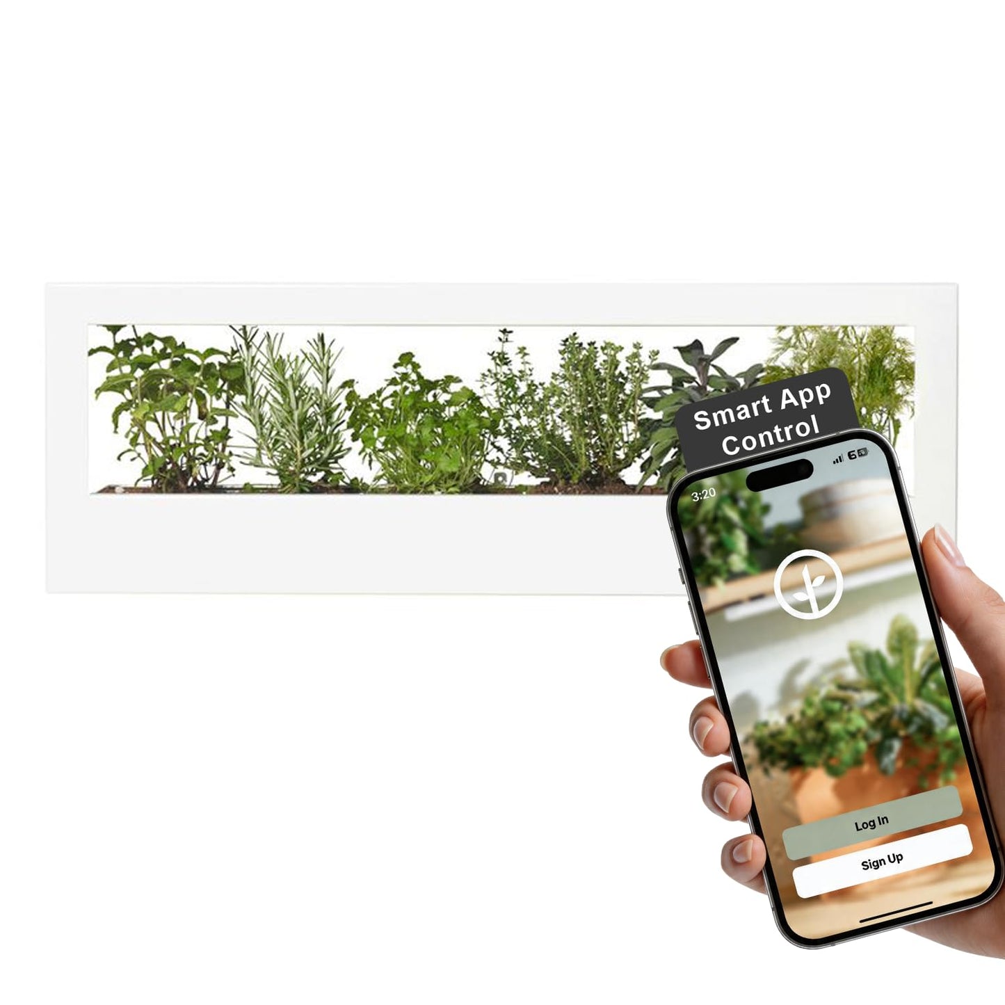 Modern Sprout Smart Landscape Growframe - Wall Mounted Plant Stand with LED Grow Light - Smart App Controlled - Powder-Coated Steel Frame for Indoor Plants - Perfect for Gifting and Decor - White