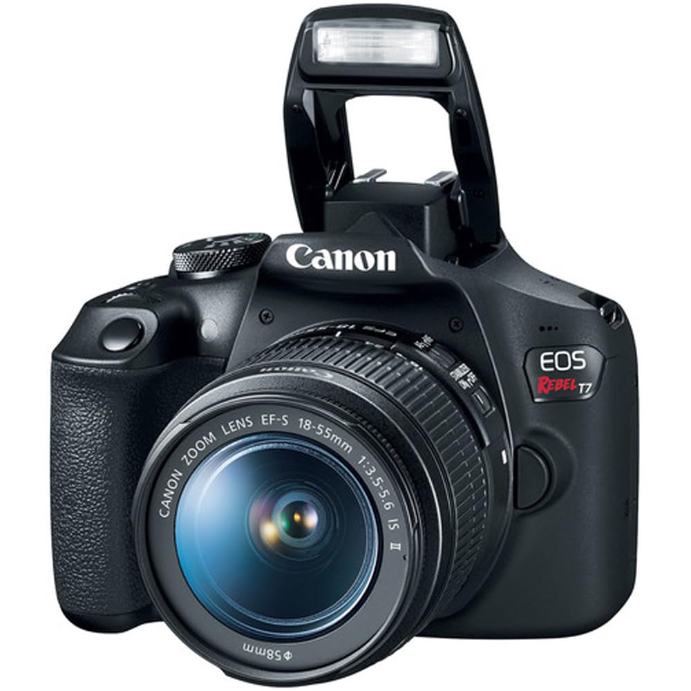 Canon EOS Rebel T7 DSLR Camera with EF18-55mm + EF 75-300mm Double Zoom Kit 2727C021 Bundle with Lexar Premium 64GB SDXC Memory Card, Deco Essentials Camera Bag and Corel Photo Video Suite