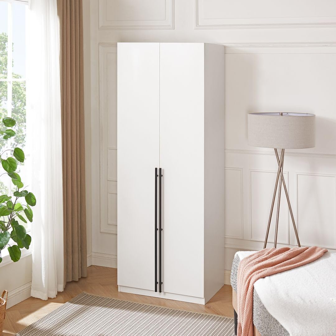 Manhattan Comfort Lee Modern Freestanding Closet 2.0 | Space-Saving Design with 1 Hanging Rod, 1 Shelf & 2 Drawers | Soft Close Hinges | No Tool Assembly Storage Cabinet, White