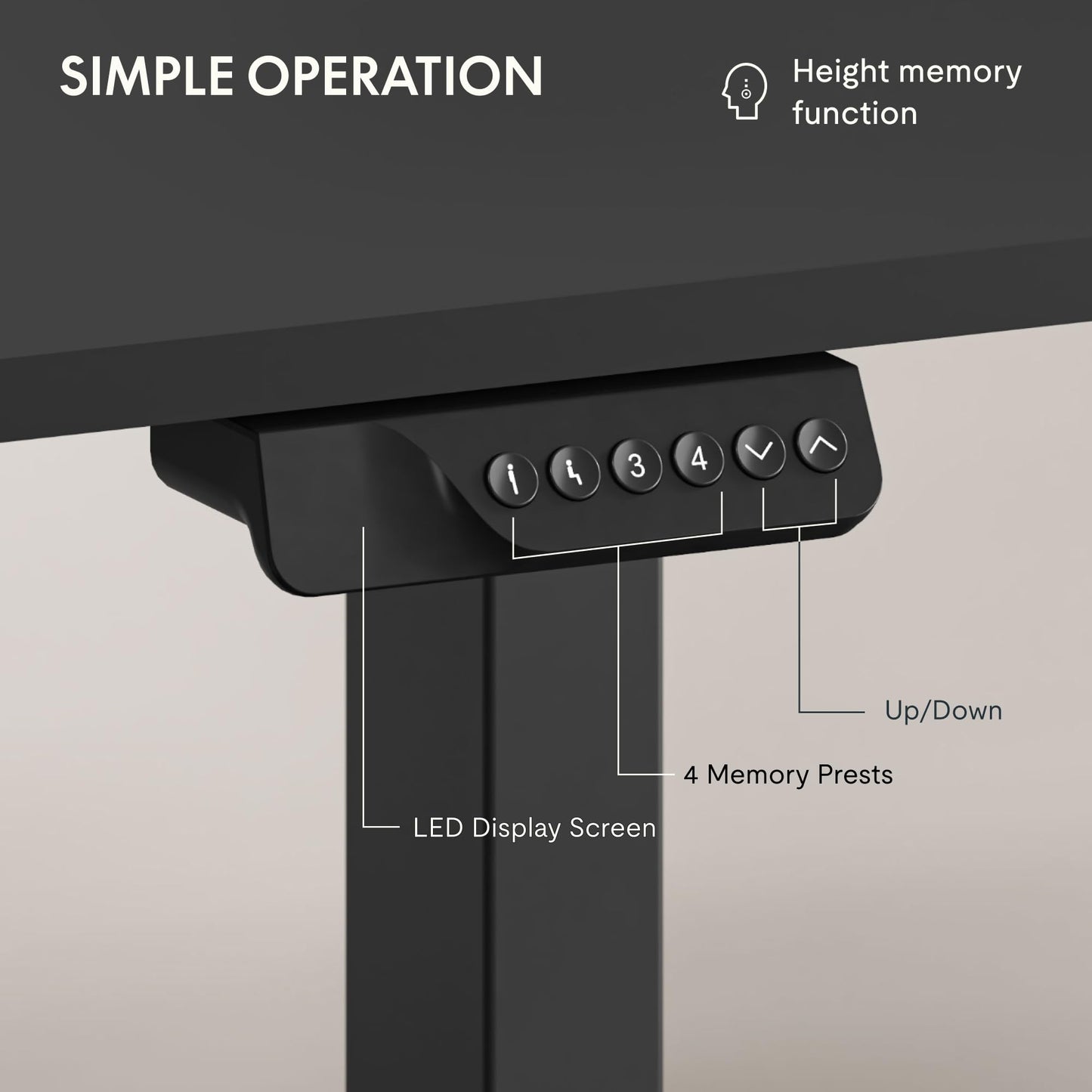 FLEXISPOT 79"x32" Large Dual Motor Electric Standing Desk, Black - 198 LBS Heavy-Duty Capacity, Ideal for Home Office, Creative Studio, or Multi-Monitor Setup
