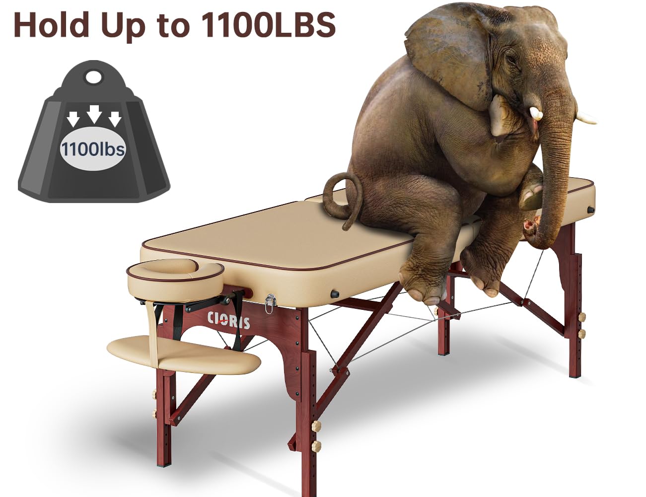 CLORIS 84" Professional Massage Table Portable Reinforced Wooden Leg Hold Up to 1100LBS 2 Folding Lightweight Spa Solon Tattoo Massage Bed Height Adjustable with Carrying Bag