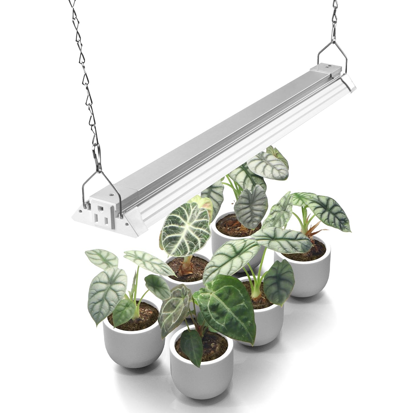 Barrina TX36 Grow Light for Indoor Plants, 36W Equivalent, 5000K Full Spectrum, 2FT Size, Aluminium and PC, 1 Pack