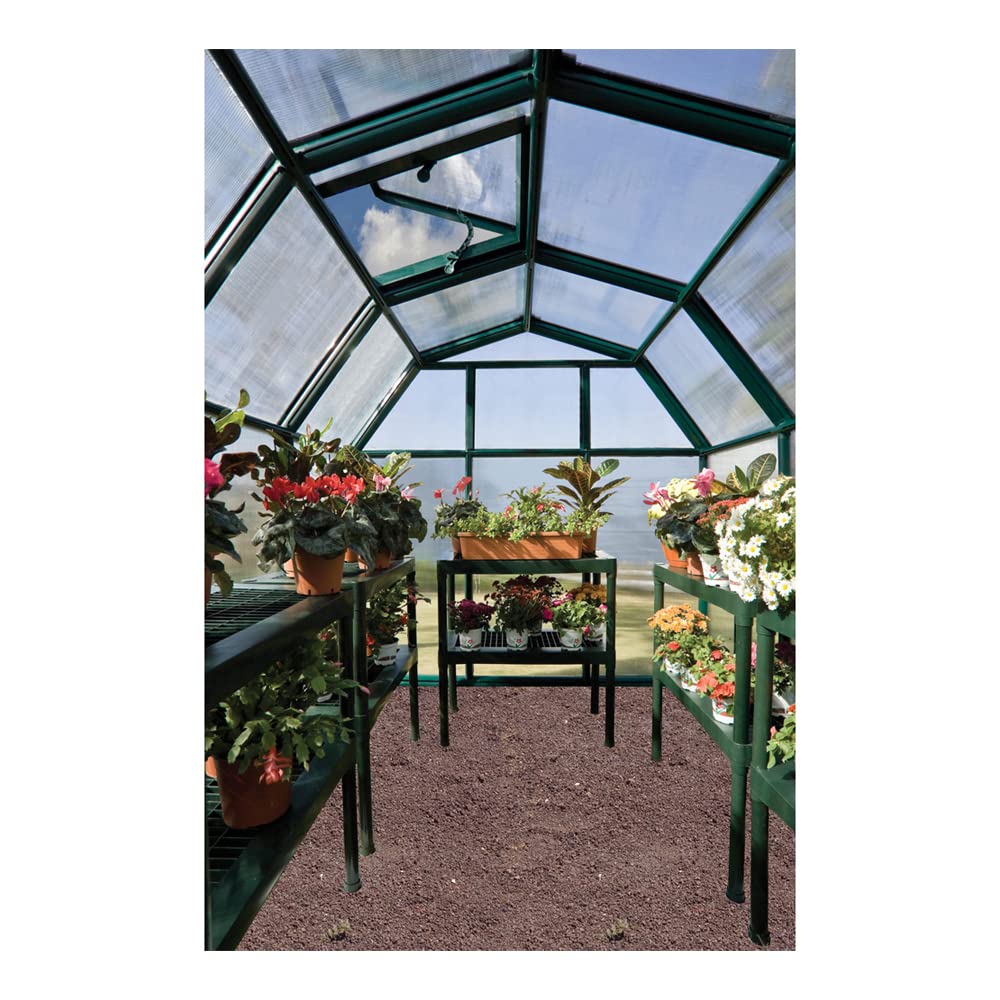 Palram - Canopia Rion EcoGrow 2 | 6 Ft. x 10 Ft. Greenhouse, Large Twin Wall Polycarbonate Heavy Duty Green House DIY Kit for Garden, Yard, Plants, Walk-in for Outdoors with Window Vent (Green)