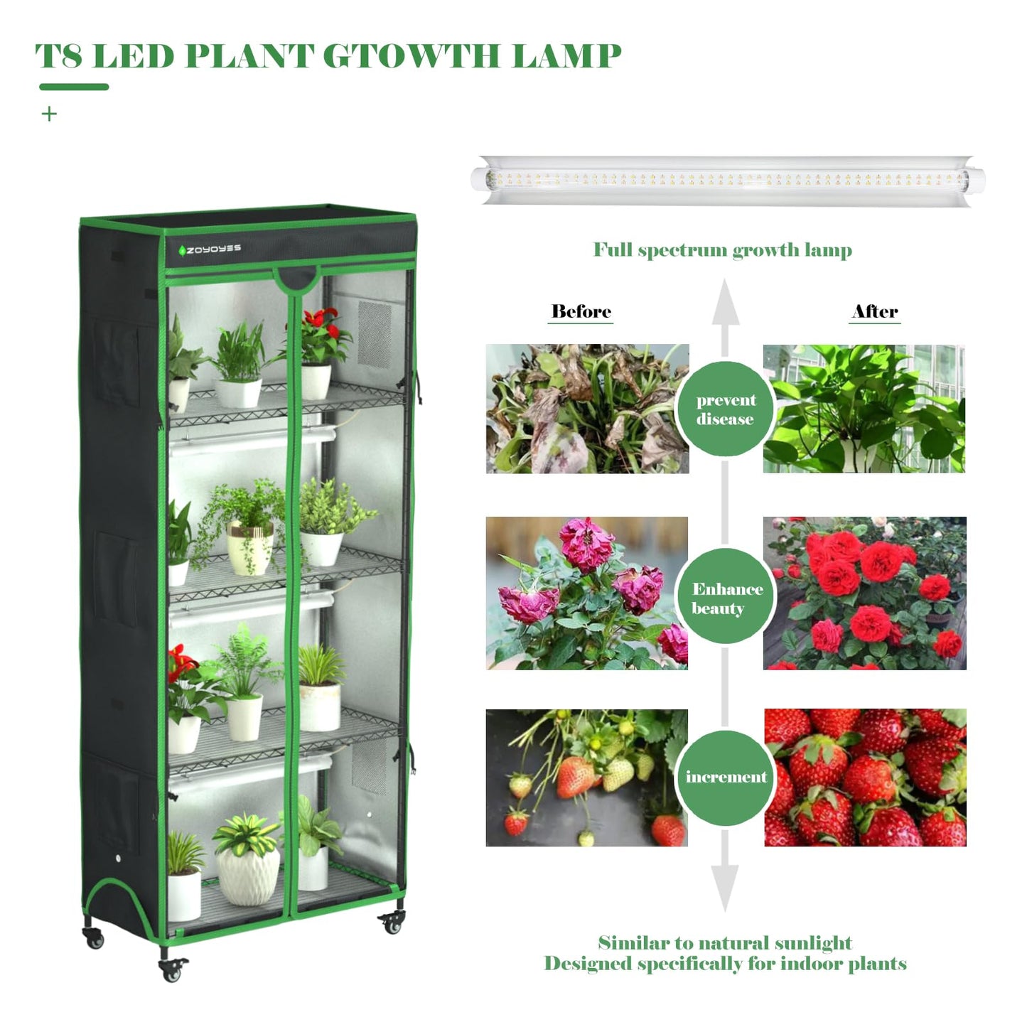 ZOYOYES Indoor Greenhouse with Grow Light, Mini Greenhouse with Cover