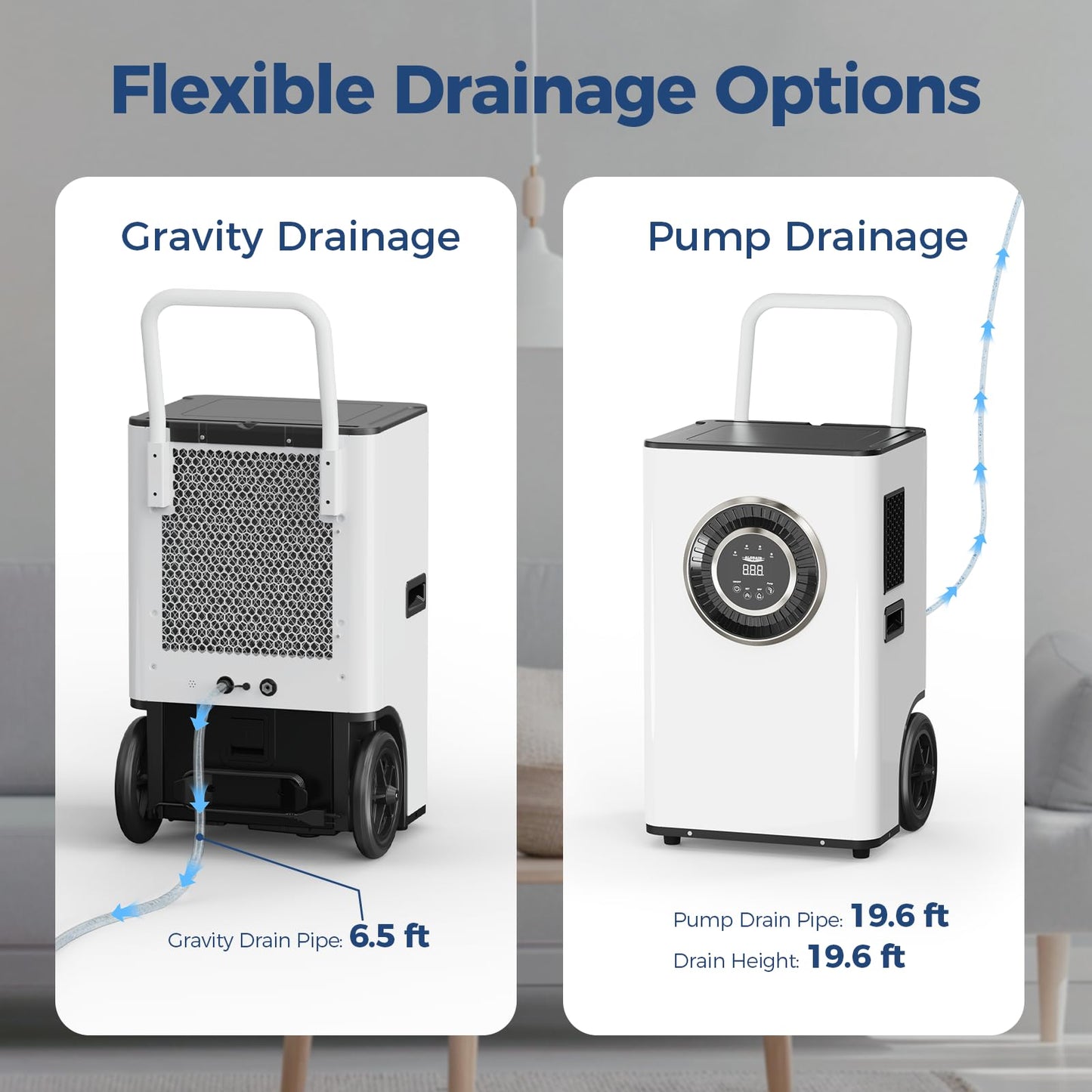 ALORAIR 145 PPD Commercial Dehumidifier with Pump & Drain Hose, Portable Dehumidifiers for Garage, Large Room, Basement, Industrial Use, Auto-Defrost, 6 Years Limited Warranty