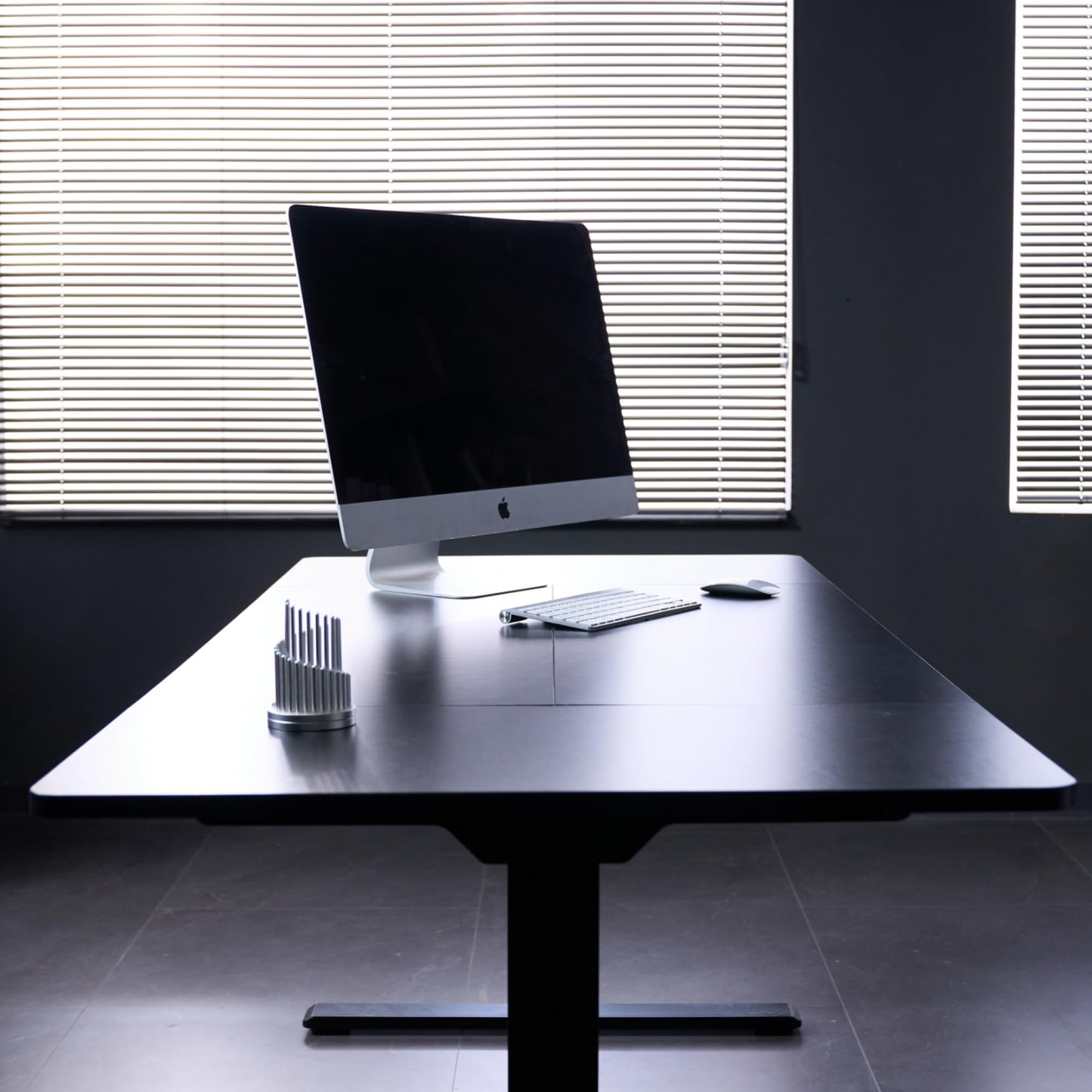 FLEXISPOT 79"x32" Large Dual Motor Electric Standing Desk, Black - 198 LBS Heavy-Duty Capacity, Ideal for Home Office, Creative Studio, or Multi-Monitor Setup