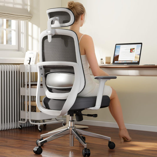 QuelSoft Ergonomic Office Chair, Home Office Desk Chairs, 3D Lumbar Support High Back Desk Chair, Comfortable Computer Chair & Gaming Chair for Office & Home - Silver