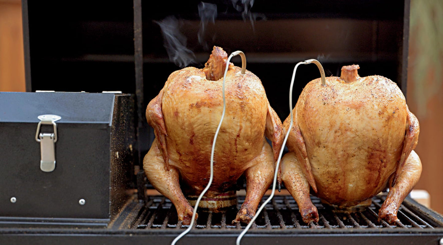 Freedom Portable Pellet Grill & Smoker: Digital Display, Dual Meat Probes, 242 sq in Cooking Area, AC/DC Powered, Black