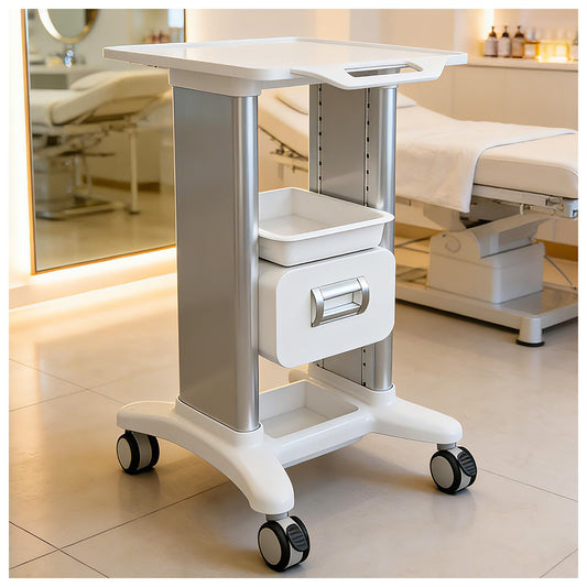 Medical Trolley Cart Mobile with Drawers, Hospital Ultrasound Cart with 4 Silent Swivel Wheels, Portable Medical Trolley Carts, 225 LBS Load, for Beauty, Salon, Clinic and Lab (Silver, Single Drawer)
