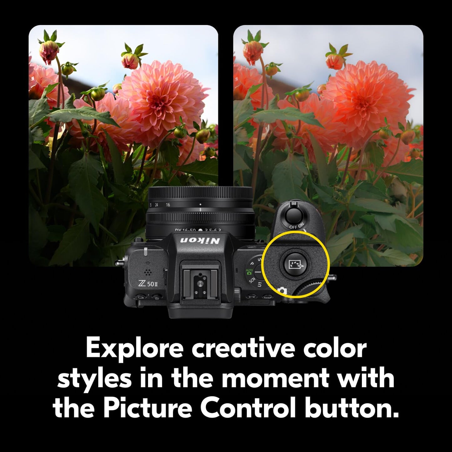 Nikon Z50 II with Two Lenses | Compact mirrorless Stills/Video Camera with Easy Color presets and Wireless Photo Sharing | USA Model