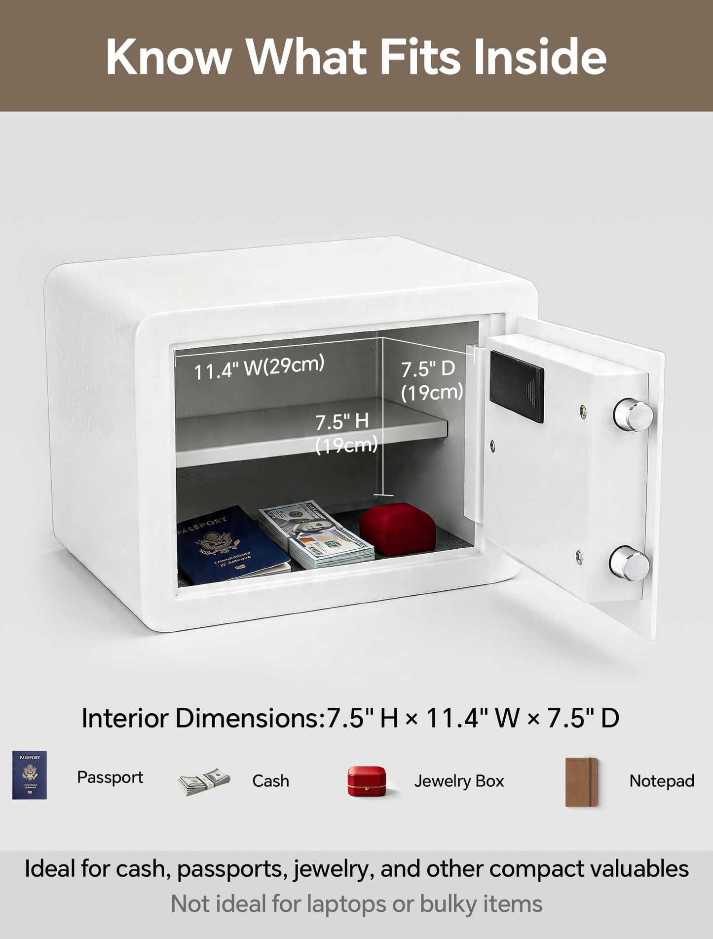 TIGERKING Biometric Home Safe, 20 lb Alloy Steel Construction, Fingerprint Access and 3-Button Electronic Combination Lock for Jewelry, Cash and Passports, White