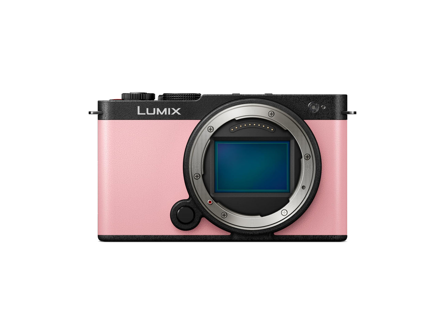 Panasonic LUMIX S9 Full-Frame Mirrorless Camera, Compact, Lightweight Body, Perfect for Social Media and Travel (DC-S9BODYP)