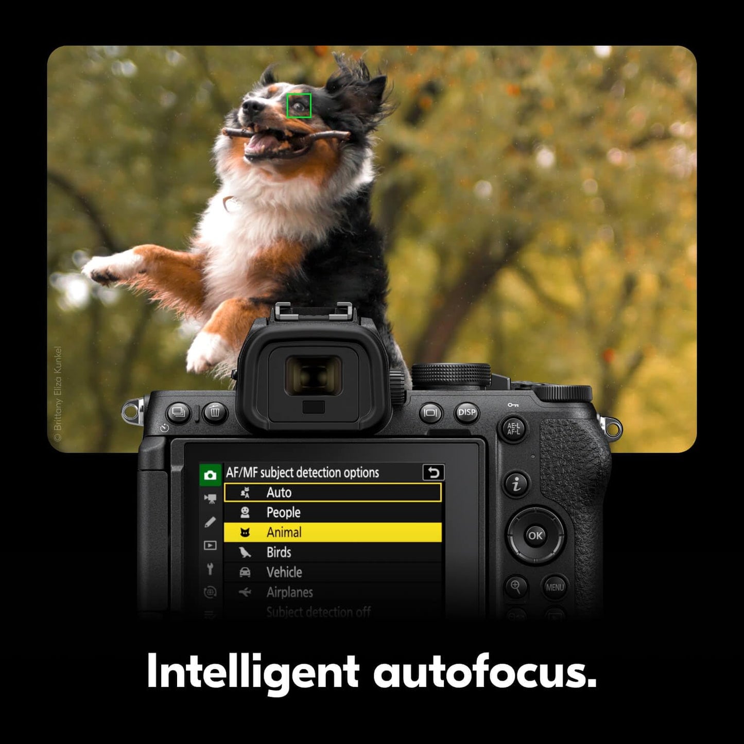 Nikon Z50 II with Two Lenses | Compact mirrorless Stills/Video Camera with Easy Color presets and Wireless Photo Sharing | USA Model