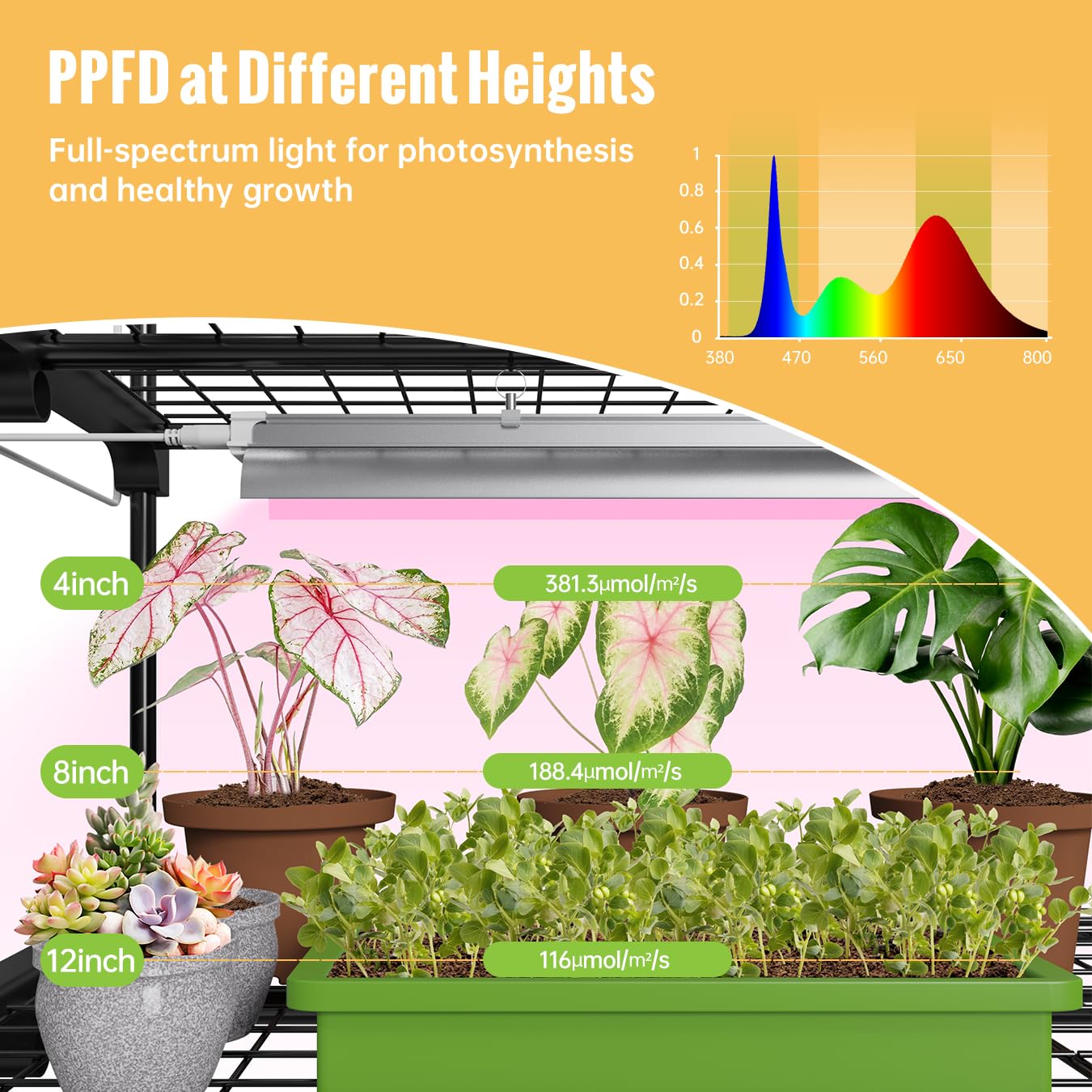 SpeePlant Indoor Greenhouse with Grow Light, 4-Tier Plant Shelf with T5 1.6FT 32W Full Spectrum LED Grow Light for Seed Starting, Succulent, Settable Timer Socket, 39" L x 19" W x 64" H