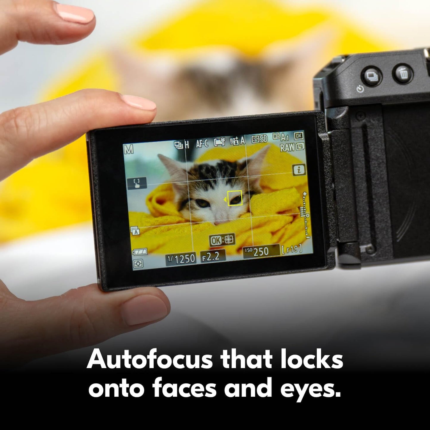 Nikon Z 30 | Our most compact, lightweight mirrorless stills/video camera | Nikon USA Model