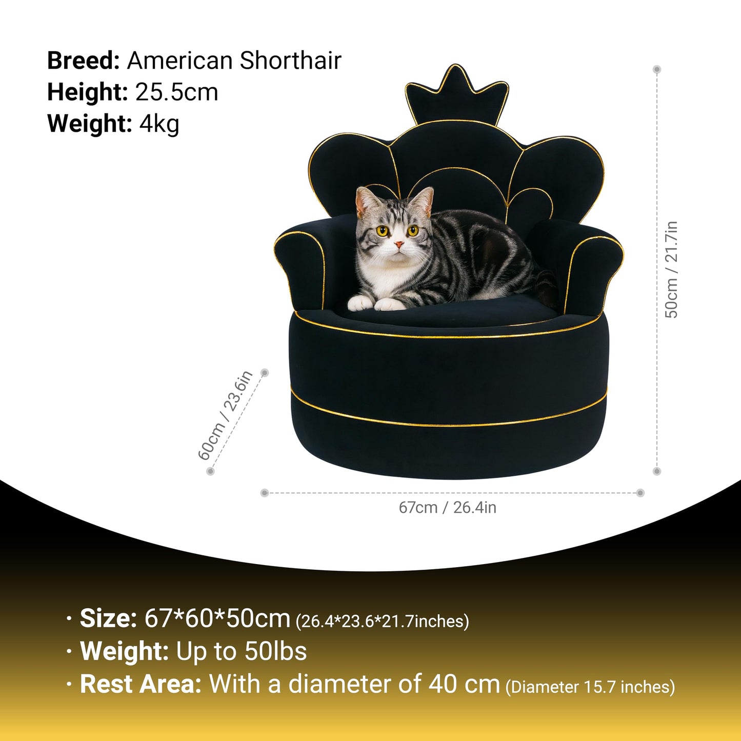 Cuddle Republic Premium Pet Sofa – Holland Velvet Dog and cat Throne Chair, Black & Gold Design, Cozy & Soft, Scratch-Resistant & Durable, Perfect for Home Décor & Pet Lovers