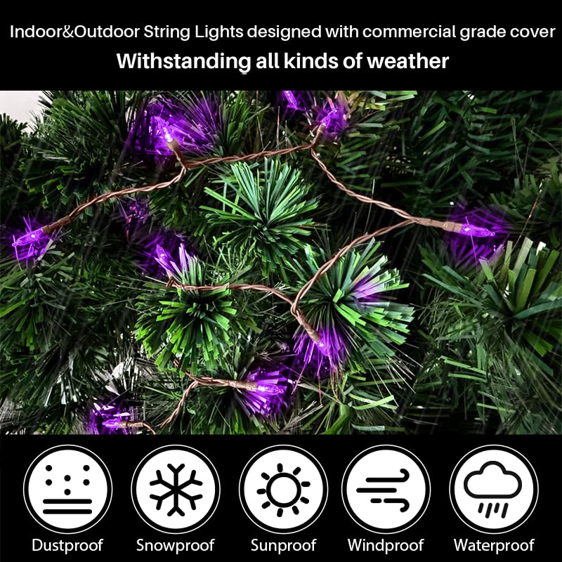 LAMPHOME Purple Halloween Lights, 50 LED Mini String, 18Ft, Battery Operated, Waterproof, 2PK, 8 Modes, Timer