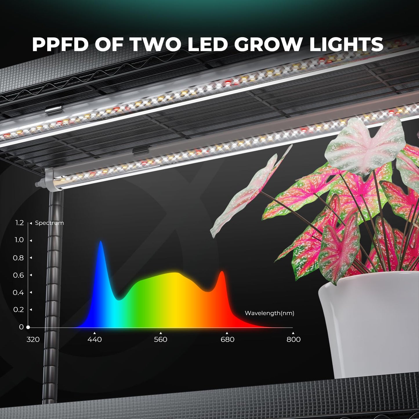 MARS HYDRO 2025 Plant Stand with Grow Lights,4-Tier Plant Shelf with 6 Full Spectrum LED Lamps (150W, 3ft) & Grow Tent | for Vegetables, Seedlings, Plant Growth | 5000K, 37×14×59''