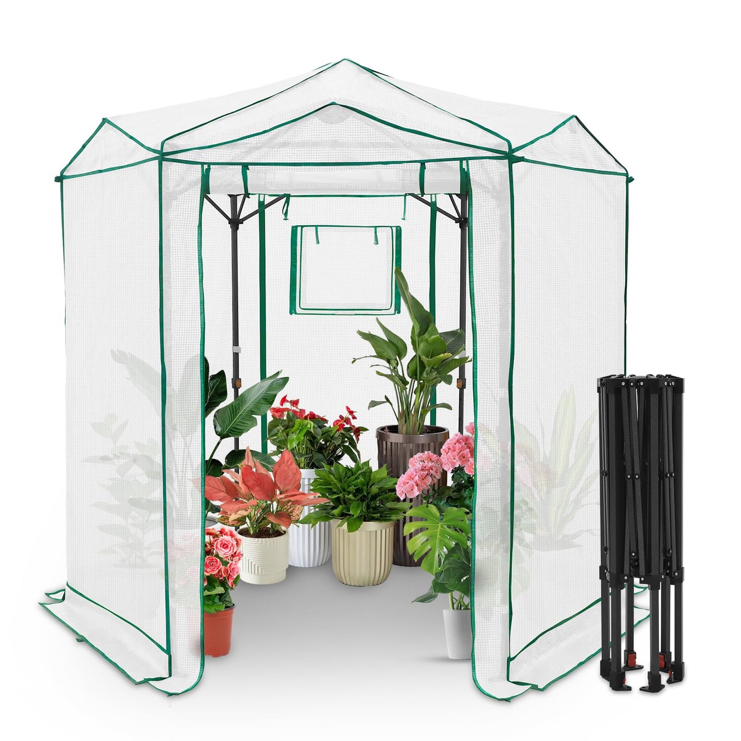 EAGLE PEAK 6.6x6.6 Portable Walk in Greenhouse, Pop Up Indoor Outdoor Greenhouse, Green House Kit with Zippered Roll-Up Doors and Windows, Hexagon Design, PE Cover, Clear/White
