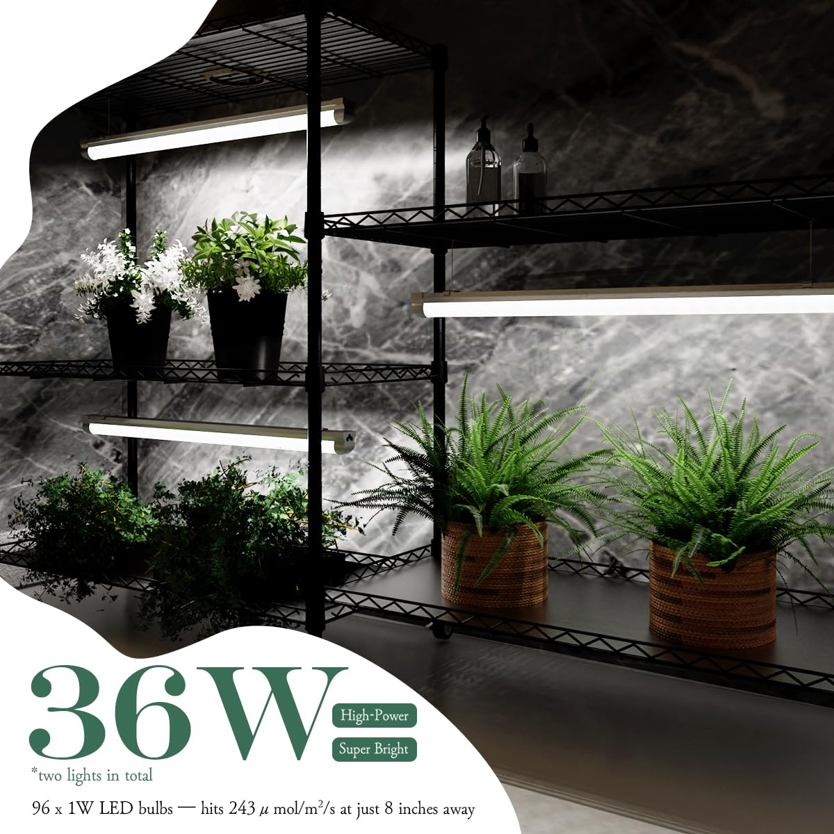 SQUEEZE master Indoor Greenhouse with Grow Lights-DIY Modular Plant Stand with 3-Tone Full Spectrum Lighting- Adjustable Shelves & 24H Timer-Rolling Plant Rack for Seed Starting