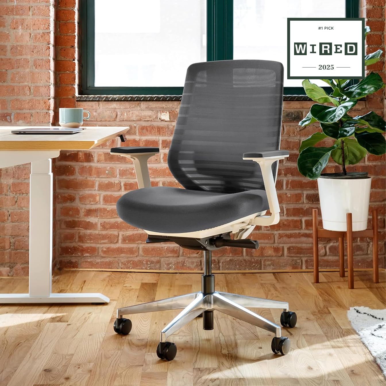Branch Ergonomic Chair - A Versatile Desk Chair with Adjustable Lumbar Support, Breathable Mesh Backrest, and Smooth Wheels - Experience Optimal Comfort and Support - Graphite - White