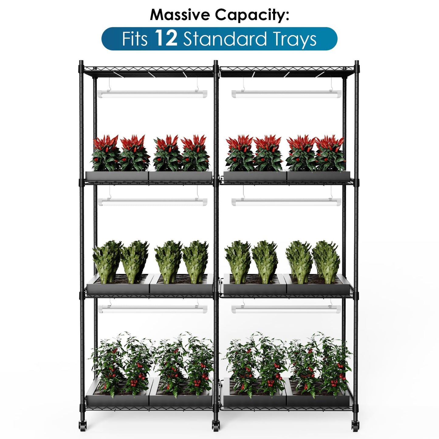 EJWOX 4 Tier Indoor Greenhouse Plant Shelf with Grow Lights, 6-Pack 18W Full Spectrum LED Grow Lights, Timer & Casters, Large Double Grid Metal Stand for Vegetables Herbs Succulents - 48x22x63 Inch