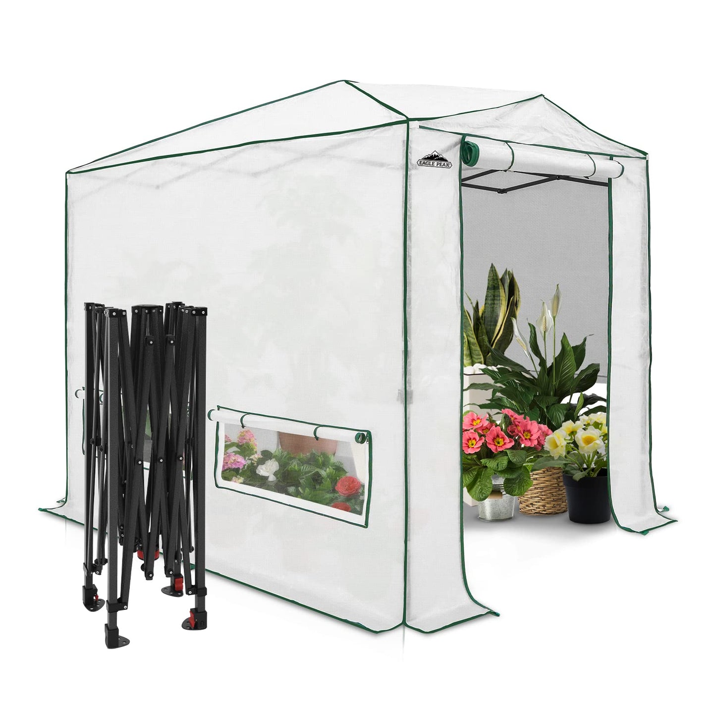 EAGLE PEAK 8x6 Portable Walk in Greenhouse, Pop Up Indoor Outdoor Greenhouse, Green House Kit with Zippered Roll-Up Doors and Windows, Woven Cover, Translucent