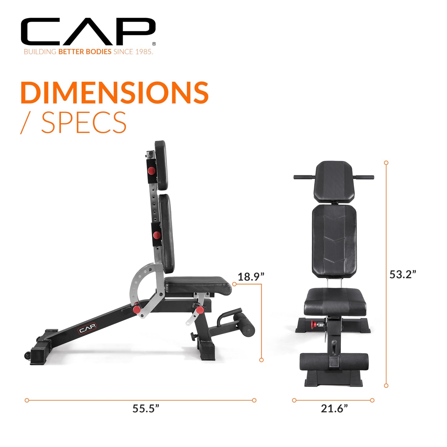 CAP Barbell Adjustable Training Utility Weight Bench | Multi-Position Incline Bench with 6 Backrest Adjustments, Leg Anchor, Wheels & 600 LB Capacity | Home Gym Strength Bench